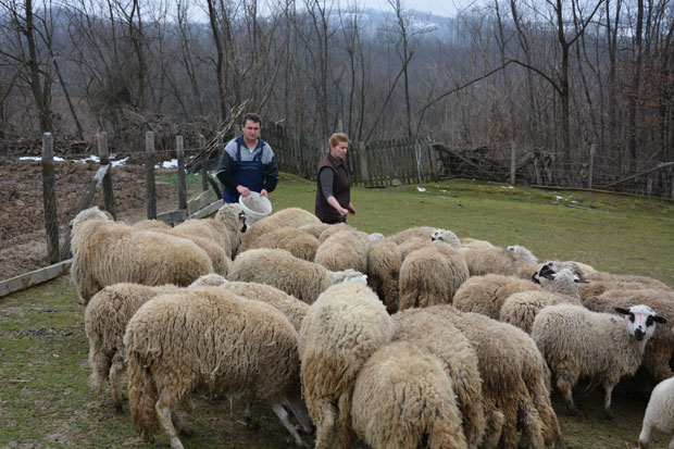 Не би мењали живот на Церу